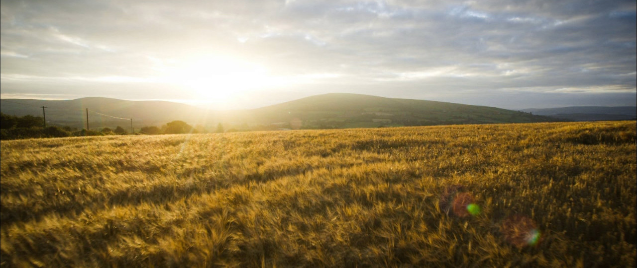 <p>Bord Bia <br>Origin Green</p>